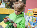 Ein kleiner Junge blättert in einem Kinderbuch über Bienen.