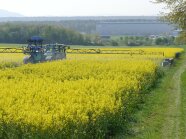 Ein Traktor mit Spritzgestänge bringt ein Fungizid in einem gelb blühendem Rapsfeld aus.