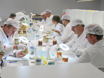 Die Prüfer mit Laborkitteln und Hauben im Sensorikzentrum an einem langen Tisch beim Betrachten der Honiggläser
