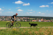 Mit Fahrrad und Hund geht es durch die Flur der Gemeinde Pfofeld.