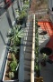 Balkonkästen sind neu bepflanzt