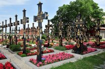 Blick auf die Gräber mit schwarz-goldenen Holzkreuzen und Begonienschmuck