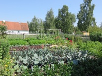 Gemüsegarten des Öxler Hofs auf dem Gelände des Haus im Moos