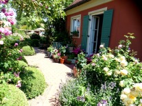 Zugang zum Haus mit Rosen- und Buchspflanzungen