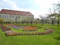 Blick auf Broderiebeete und Obstgarten im Hofgarten Dachau im Frühjahr