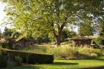 Blcik über Rasenfläche auf Walnussbaum und Gartenhäuser