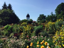 Sommerblumen im Klostergarten des benediktinierklosters auf der Fraueninsel