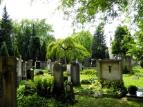 Blick über die alten Grabmale des Alten Friedhofs in Schrobenhausen