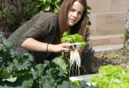Eine junge Frau kniet im Garten und hält einen kleinen Salatkopf mit langen Wurzeln in der Hand