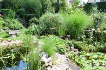 Biodiversitat Im Garten Vielfalt Und Lebensraume