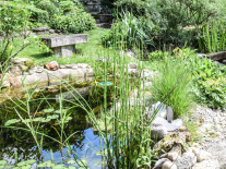 Blick in einen Garten mit vielen blühenden Pflanzen und Gräsern sowie einem Teich mit Seerosen.