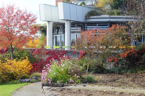 Herbst im Gemüsegarten