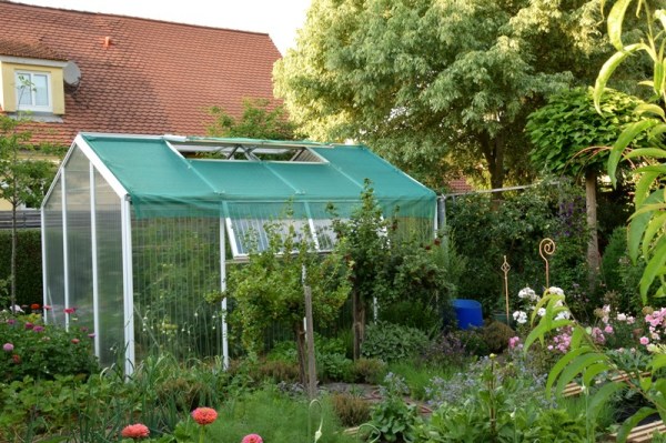 Das Glashaus Fur Kalteempfindliche Gemusepflanzen