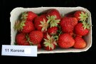 Eine Schale mit reifen Erdbeeren und Etiketten.