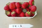 Erdbeeren in Beerenschale mit Zwei-Euro-Münze zum Vergleichen davor Etiketten.