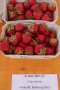 Erdbeeren in zwei Beerenschalen davor Beschreibungsschild.