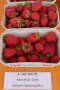 Erdbeeren in zwei Beerenschalen davor Beschreibungsschild.