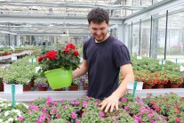 Ein Studierender im Gewächshaus mit einem Blumentopf in der Hand