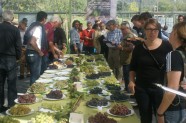 Besucher begutachten ausgestellte Trauben am Tafeltraubentag 2013