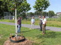 Die vier Experter der Baumpflanzaktion stehen vor einem frisch gepflanzten Baum.