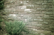 Fachgerecht hergestellte Trockenmauer aus Buntsandstein – dauerhaft und schön.