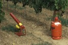 Vogelschreckschusskanone mit zugehöriger Gasflasche im Weinberg