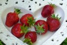 Jetzt geht es los – Erdbeeren ernten!
