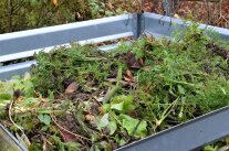Kompost im Garten: Dünger durch Recycling