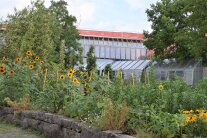 Ein besonderer Geburtstag – drei Jahrzehnte Bayerische Gartenakademie