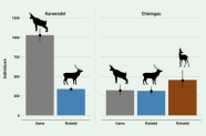 Balkendiagramm was die Größe der Schalenwildpopulationen in den zwei Projektgebieten zeigt