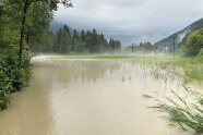 Von einem Fluss überschwemmte Wiese.
