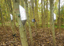 Silberne Kastensensoren sind an einem Baum befestigt.