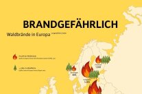 a133_S40_infografik-korr_Teaser