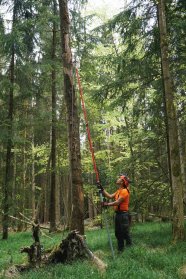 Ein Mann befestigt mit einer langen Stange ein Seil an einem Baum