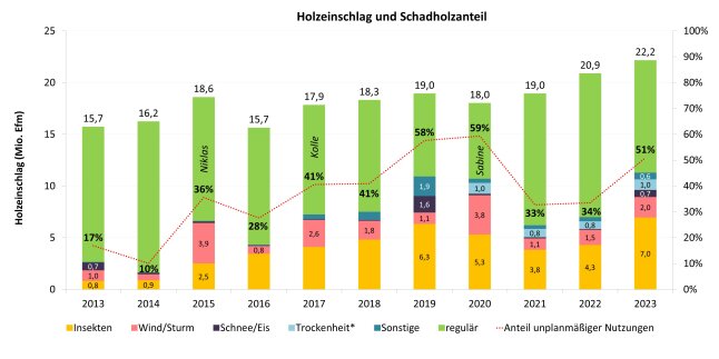 Säulendiagramm zeigt den Einschlag in Bayern zwischen 2008 und 2023 nach den Ursachen