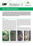 Titelseite_LWF_Merkblatt_52