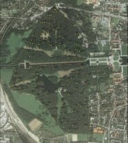 Satellitenaufnahme von Schloss Nymphenburg mit dem angrenzenden Waldgebiet