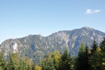 Alpenpanorama