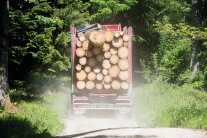 Lastwagen mit Holz beladen fährt auf einer Forststraße.