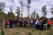 Gruppenbild der Teilnehmenden im Hintergrund mit einer Eschenplantage.