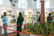 Das Foto zeigt 3 Personen, die sich eine Ausstellung ansehen. Im Vordergrund steht ein Miniaturwald aus Nadelbäumen.