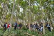 Gruppenfoto im Wald