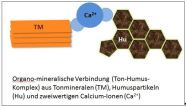 Boden Ton-humus-komplex1