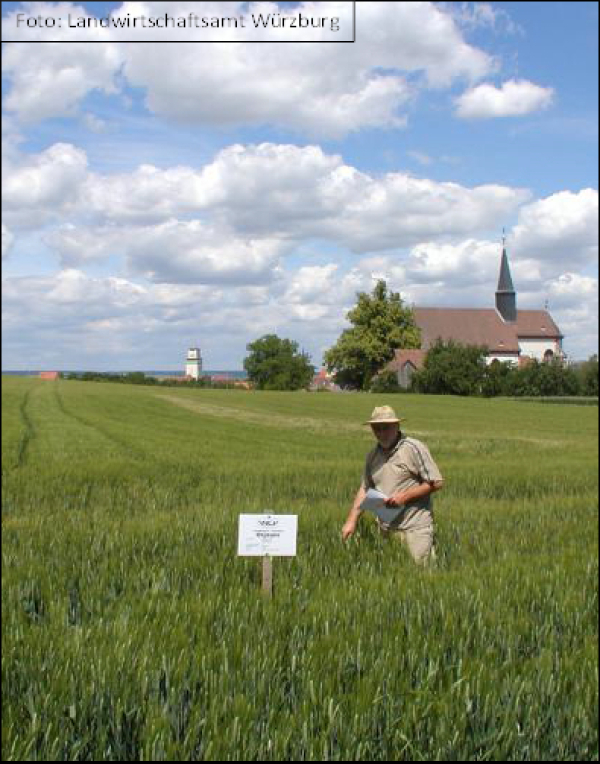 Ablauf der Saatgutuntersuchung