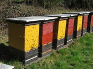 Bienenstöcke gelb und rot