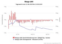 Gewichtsverlauf einer Trachtwaage