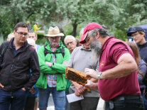 Besucher lassen sich beim Imkertag 2022 Bienen von einem LWG-Mitarbeiter zeigen
