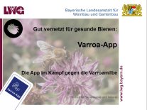 Titelbild des Vortrages: Varroa-App