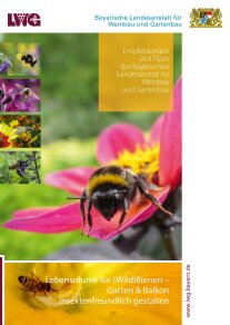 Titelbild der Broschüre "Lebensräume für (Wild)Bienen ..."