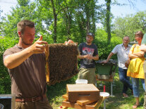 Imkermeister Ferdinand Keidel hält eine mit Bienen besetzte Wabe in Händen.